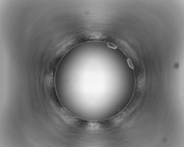 X0000094190376200711021034