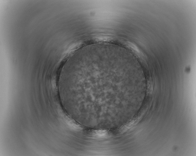 X0000094190377200711021034