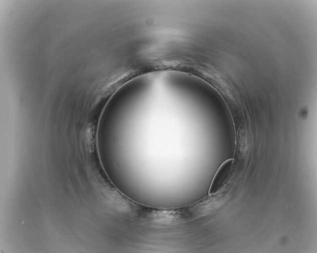 X0000094190378200711021034