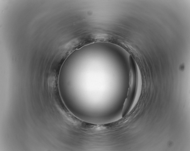 X0000094190379200711021034