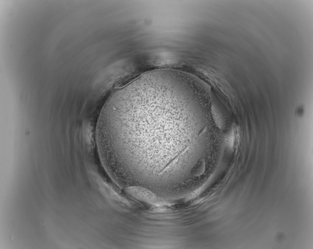 X0000094190380200711021034