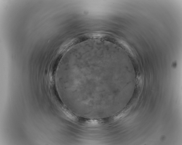 X0000094190381200711021034