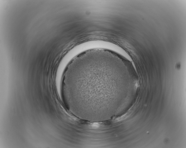 X0000094190382200711021034