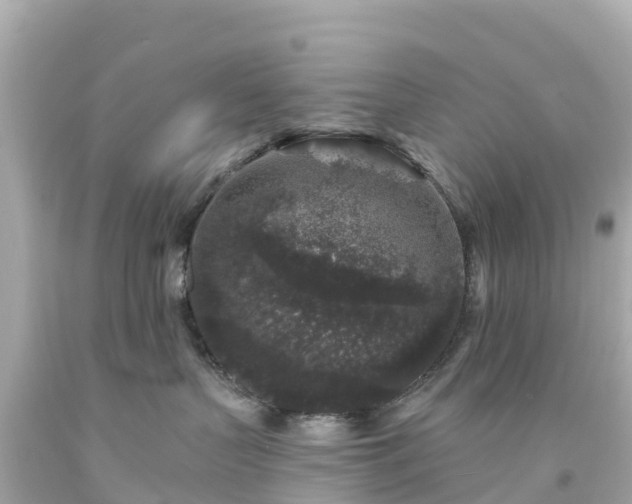 X0000094190383200711021034