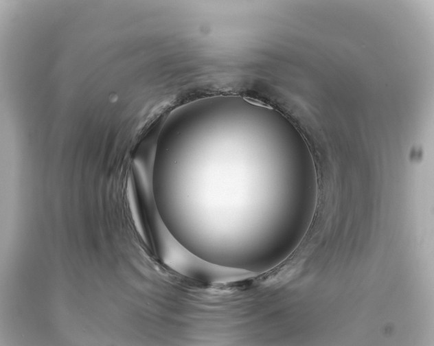 X0000094190384200711021034