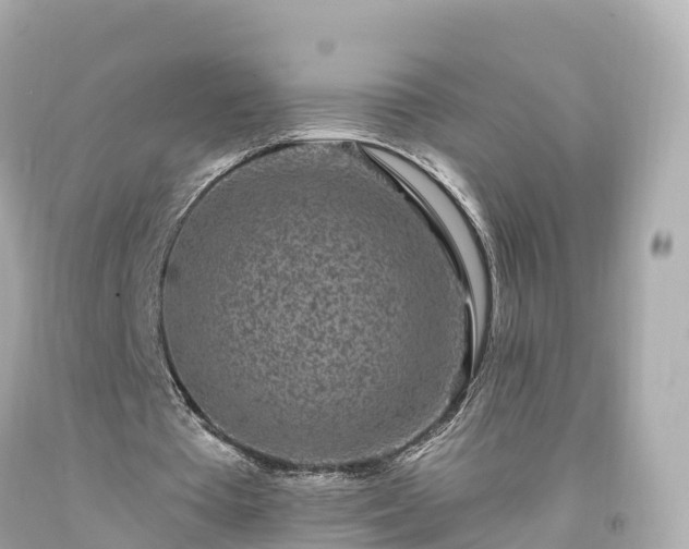 X0000094190385200711021033