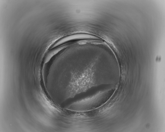 X0000094190386200711021033