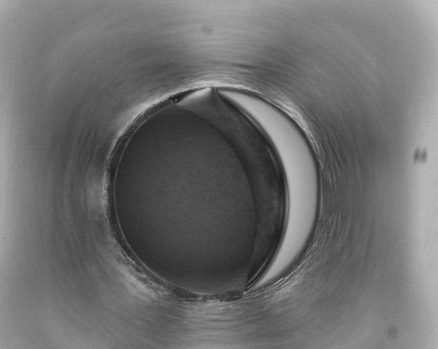 X0000094190387200711021033