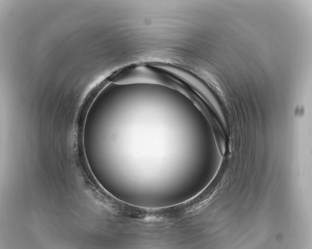 X0000094190388200711021033