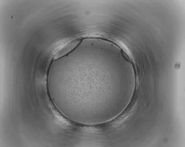 X0000094190389200711021033