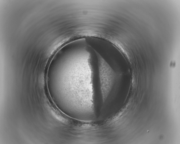 X0000094190390200711021033