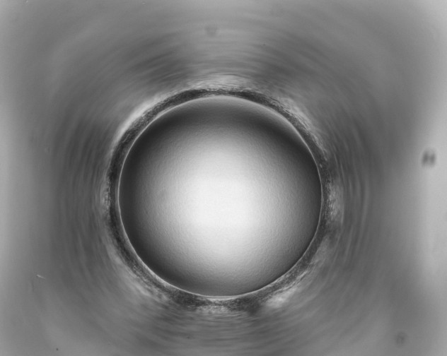 X0000094190392200711021033