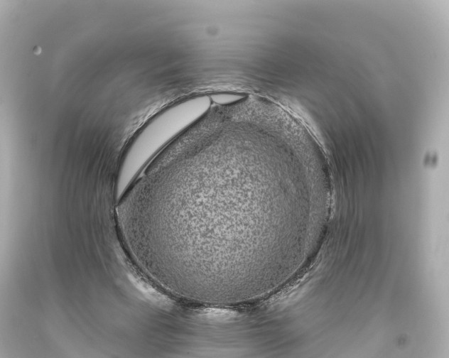 X0000094190393200711021033