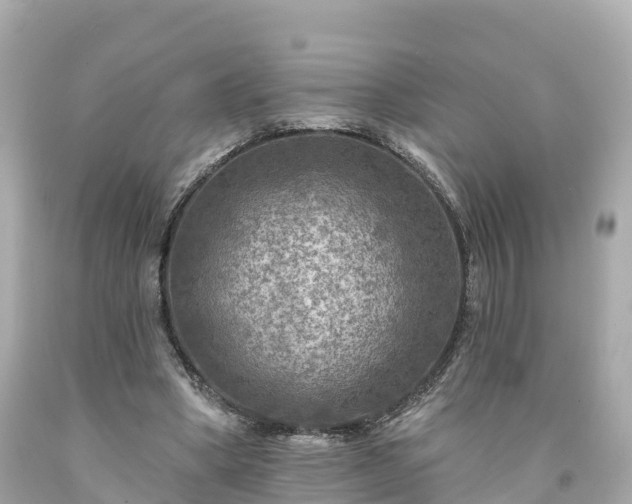 X0000094190394200711021033