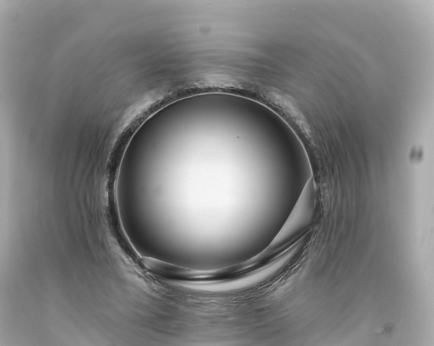 X0000094190395200711021033