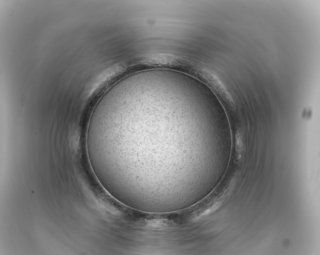 X0000094190396200711021033