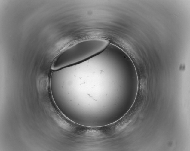 X0000094190397200711021033