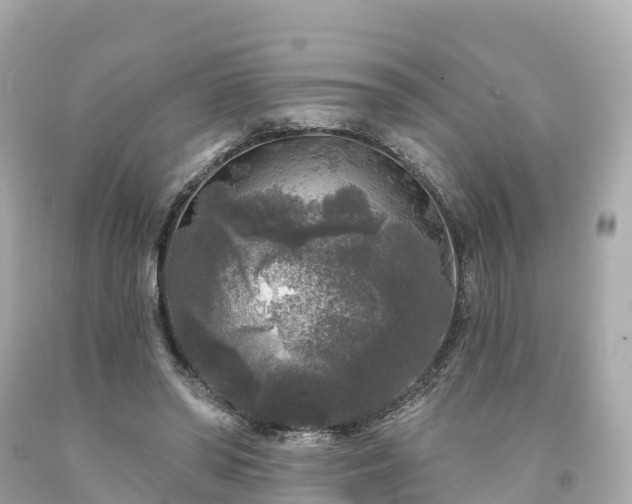 X0000094190398200711021033