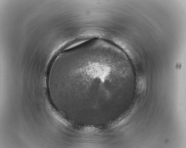 X0000094190399200711021033