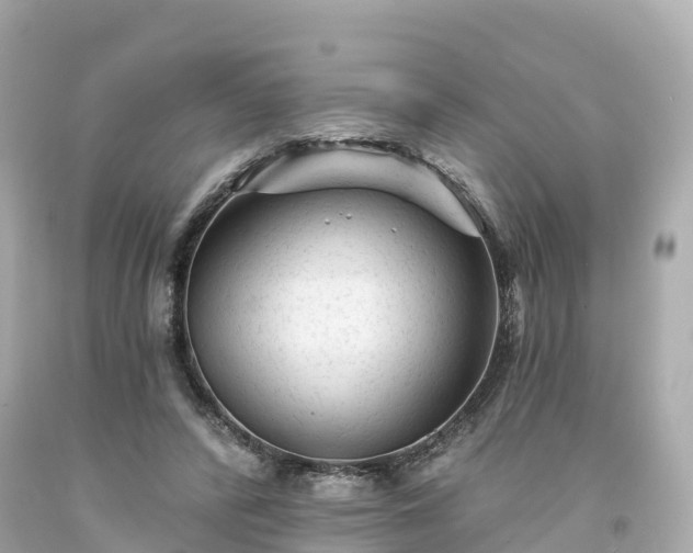 X0000094190400200711021033