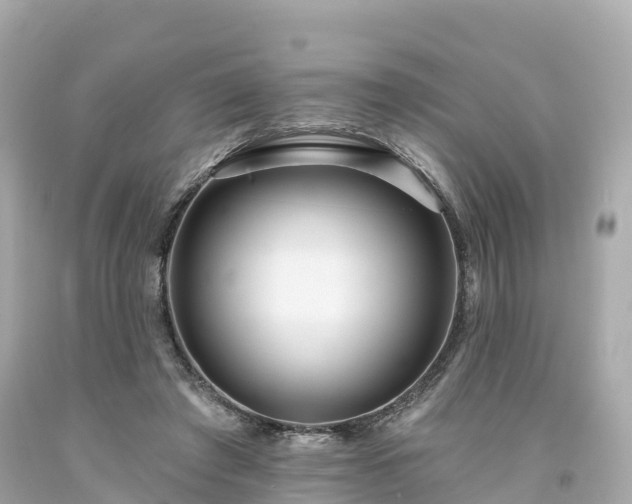 X0000094190401200711021033