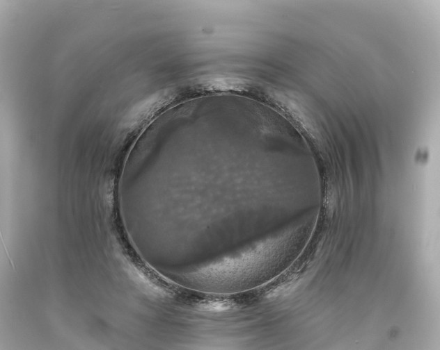 X0000094190402200711021033