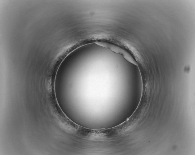 X0000094190403200711021033