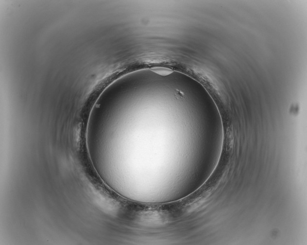 X0000094190404200711021033