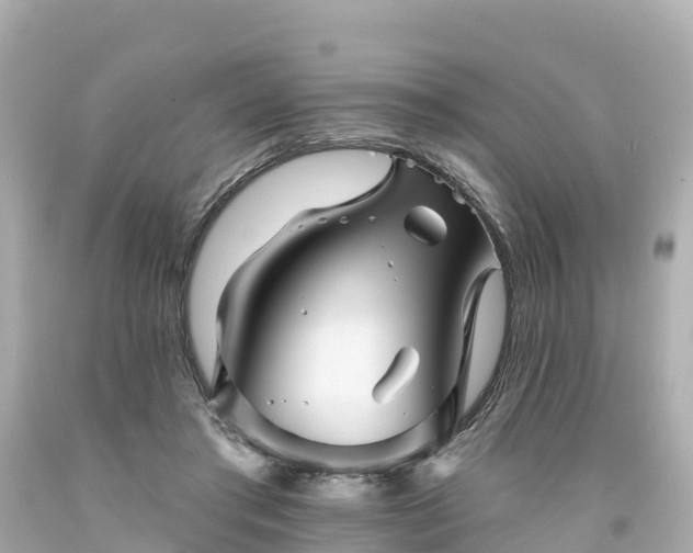 X0000094190405200711021033