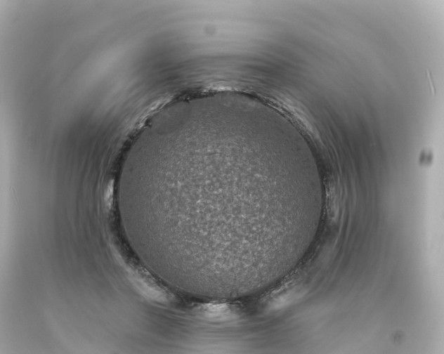 X0000094190406200711021033