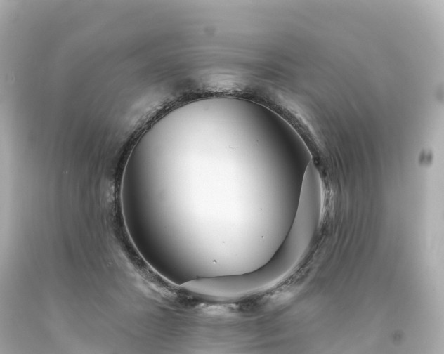 X0000094190407200711021033