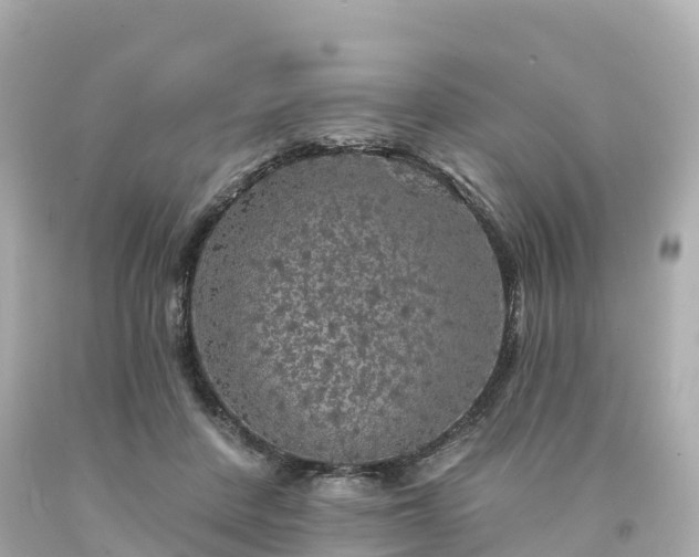 X0000094190408200711021033