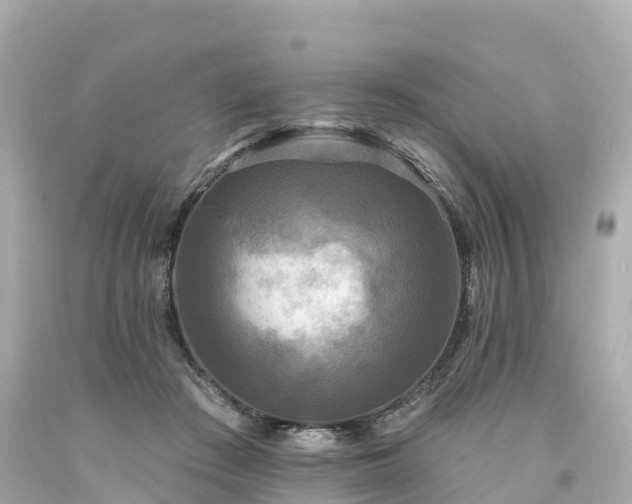 X0000094190409200711021033