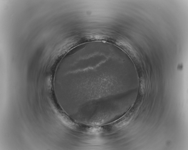 X0000094190410200711021033