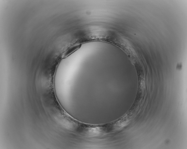 X0000094190411200711021033