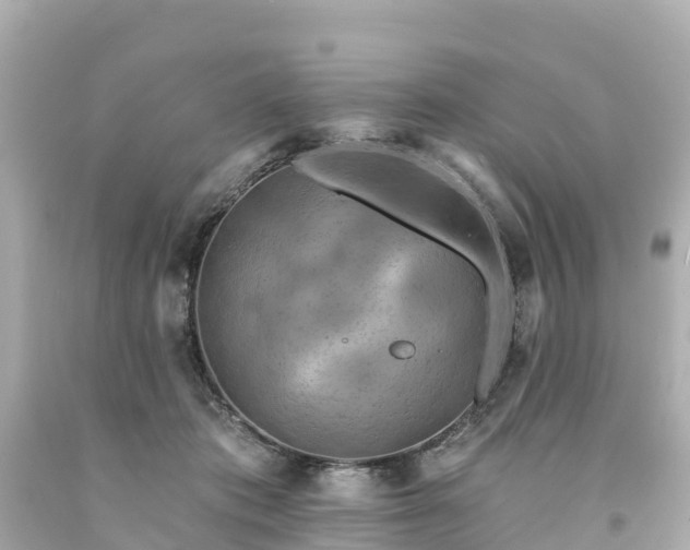 X0000094190413200711021033