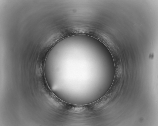 X0000094190414200711021033