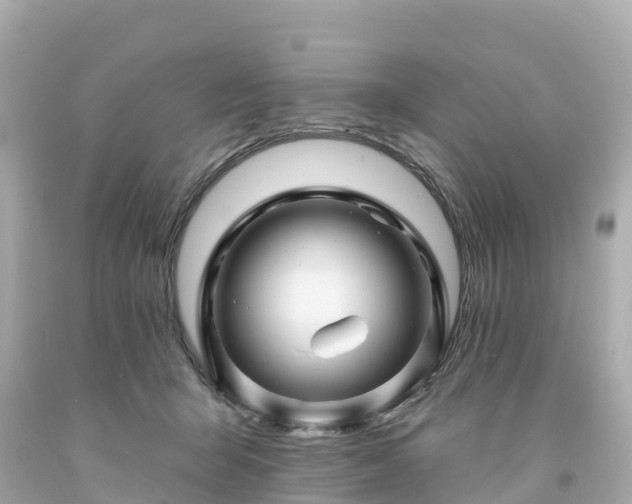 X0000094190415200711021033