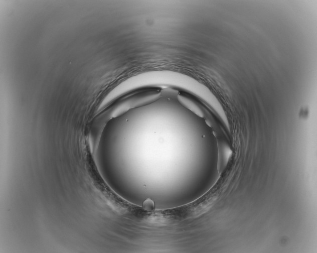 X0000094190416200711021033