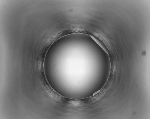 X0000094190417200711021033