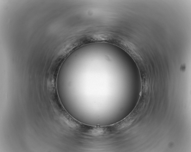 X0000094190418200711021033