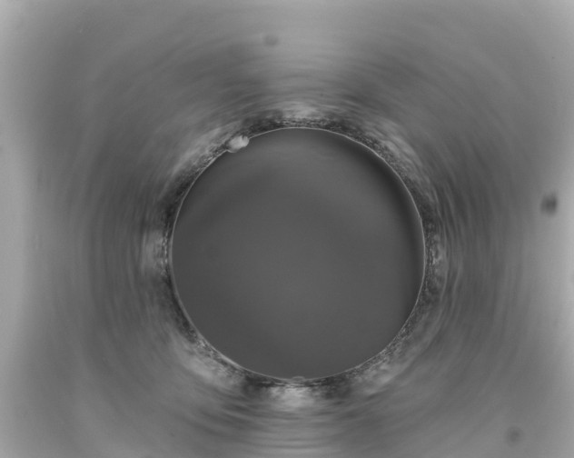 X0000094190419200711021033