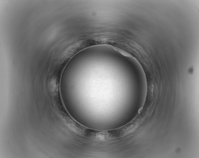 X0000094190420200711021033