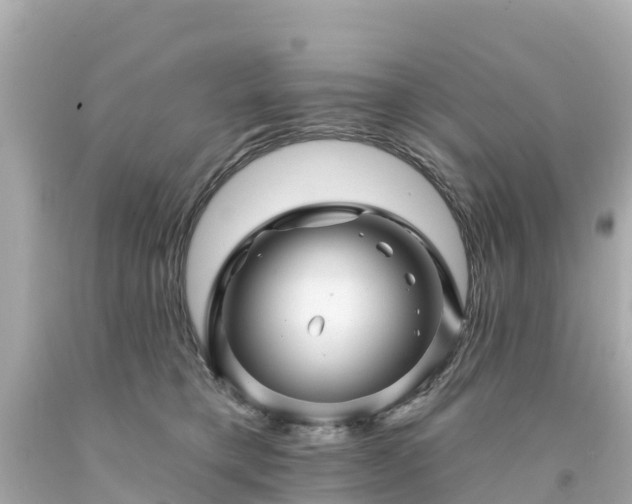 X0000094190421200711021033