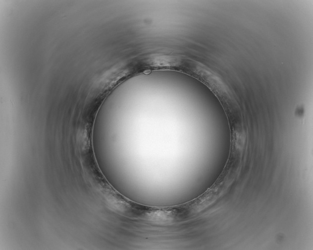 X0000094190422200711021033