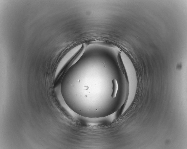 X0000094190423200711021033