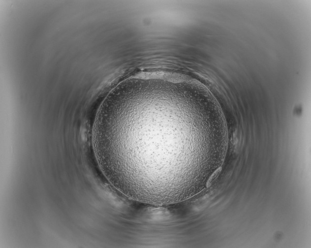 X0000094190424200711021033