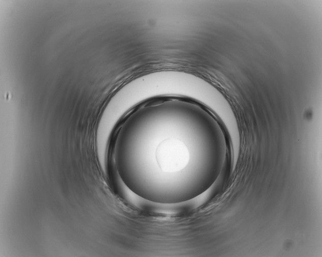 X0000094190425200711021033