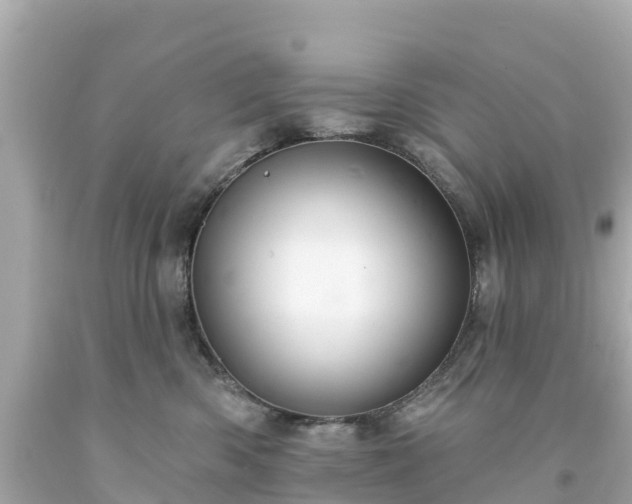 X0000094190426200711021033