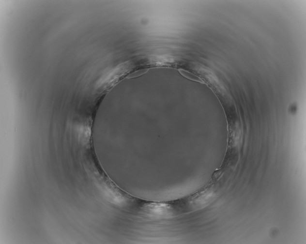 X0000094190427200711021033